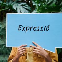 Speaking (parlar) &amp; Writing (escriure)